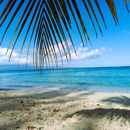 Kaz A Klemence Gite Creole Avec Piscine Et Table Dhotes A Anse Bertrand Buitenkant foto