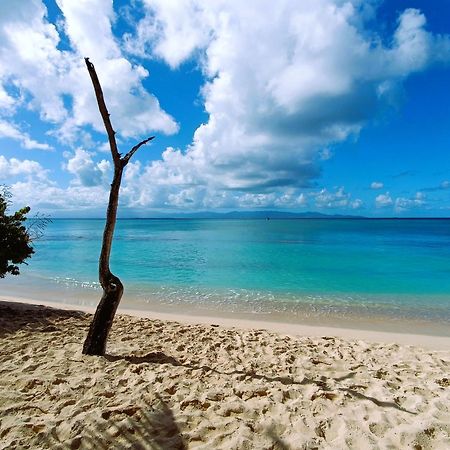 Kaz A Klemence Gite Creole Avec Piscine Et Table Dhotes A Anse Bertrand Buitenkant foto