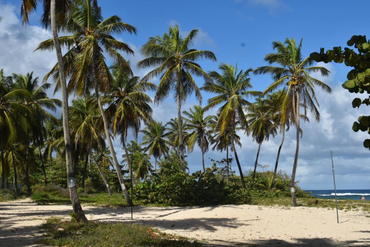 Kaz A Klemence Gite Creole Avec Piscine Et Table Dhotes A Anse Bertrand Buitenkant foto