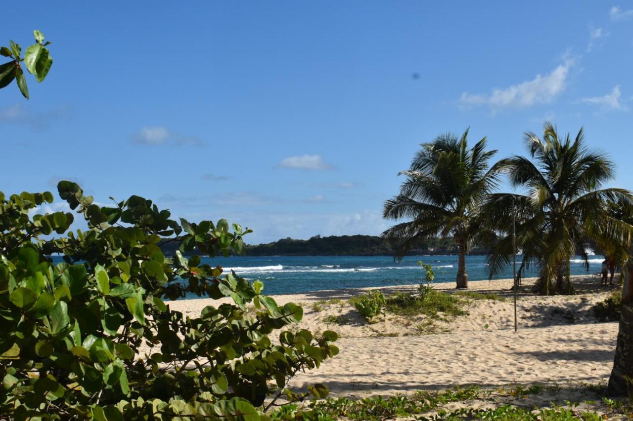 Kaz A Klemence Gite Creole Avec Piscine Et Table Dhotes A Anse Bertrand Buitenkant foto