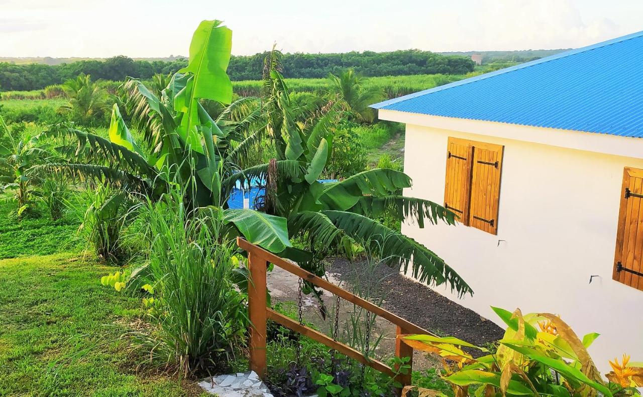 Kaz A Klemence Gite Creole Avec Piscine Et Table Dhotes A Anse Bertrand Buitenkant foto