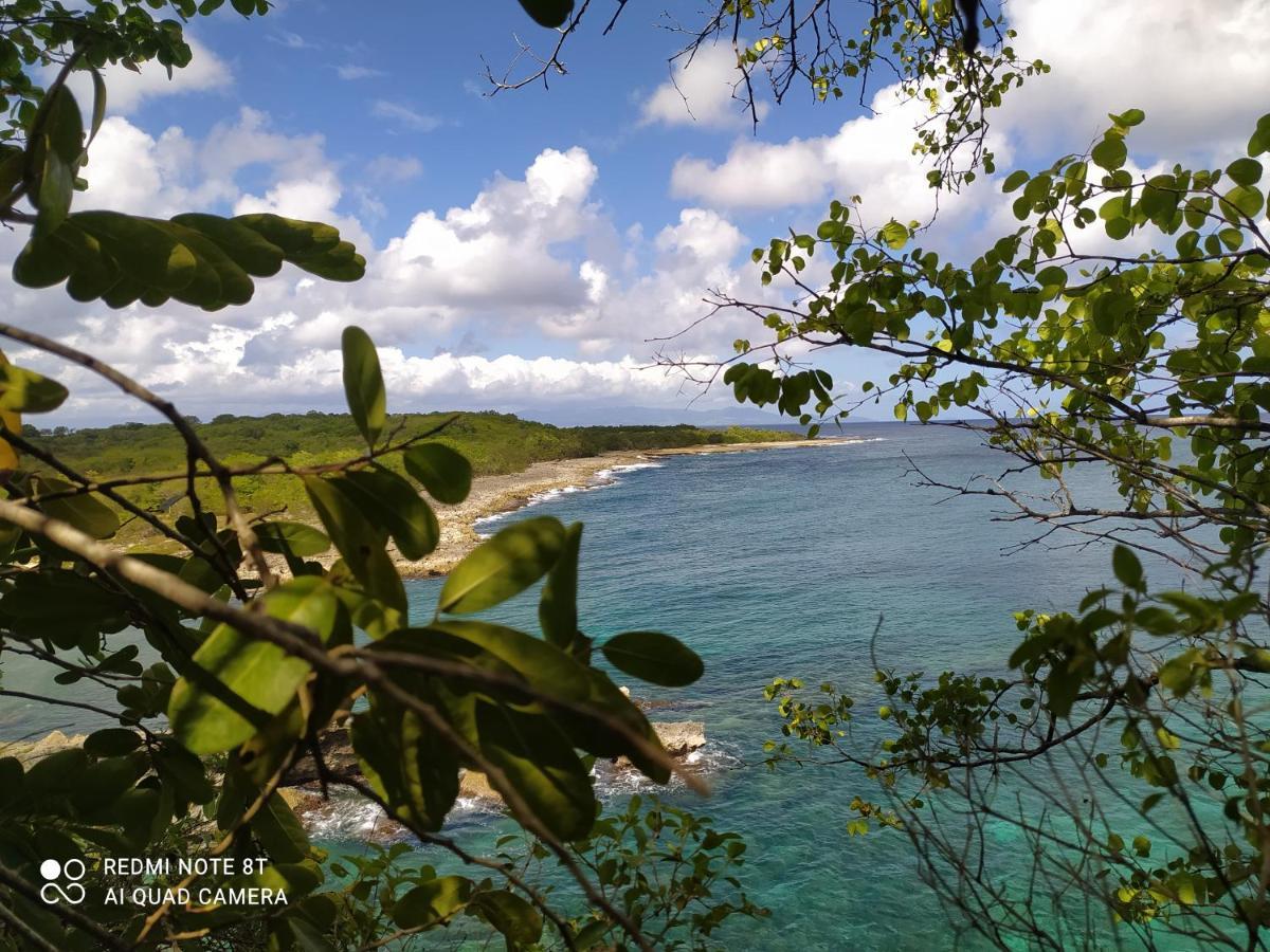 Kaz A Klemence Gite Creole Avec Piscine Et Table Dhotes A Anse Bertrand Buitenkant foto