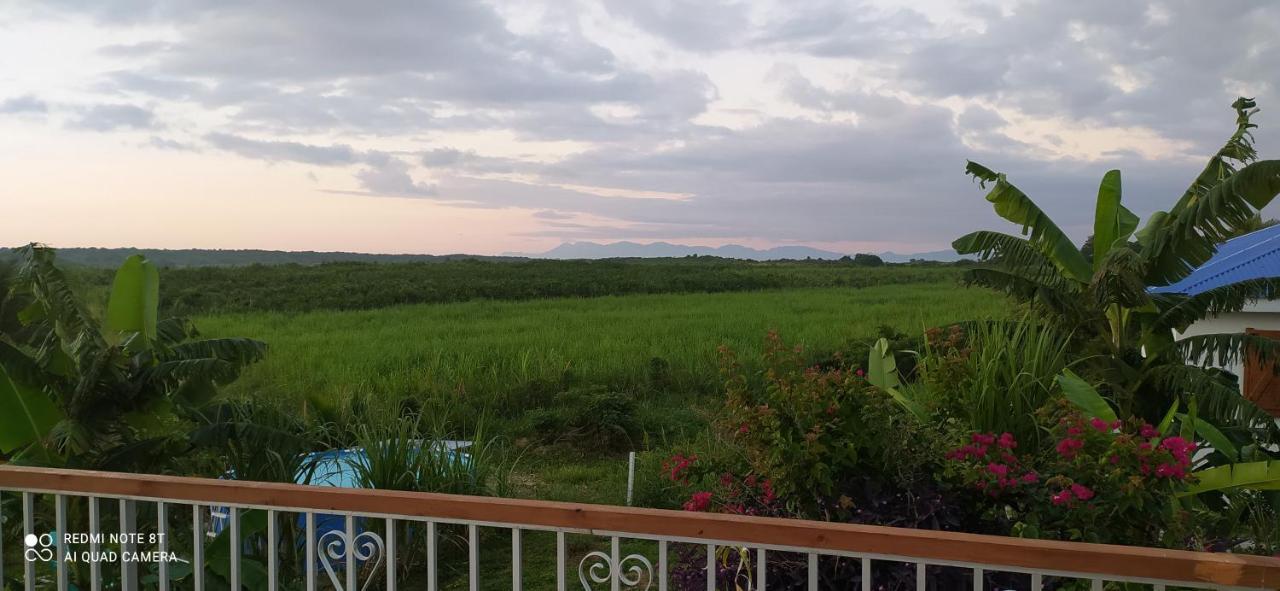 Kaz A Klemence Gite Creole Avec Piscine Et Table Dhotes A Anse Bertrand Buitenkant foto