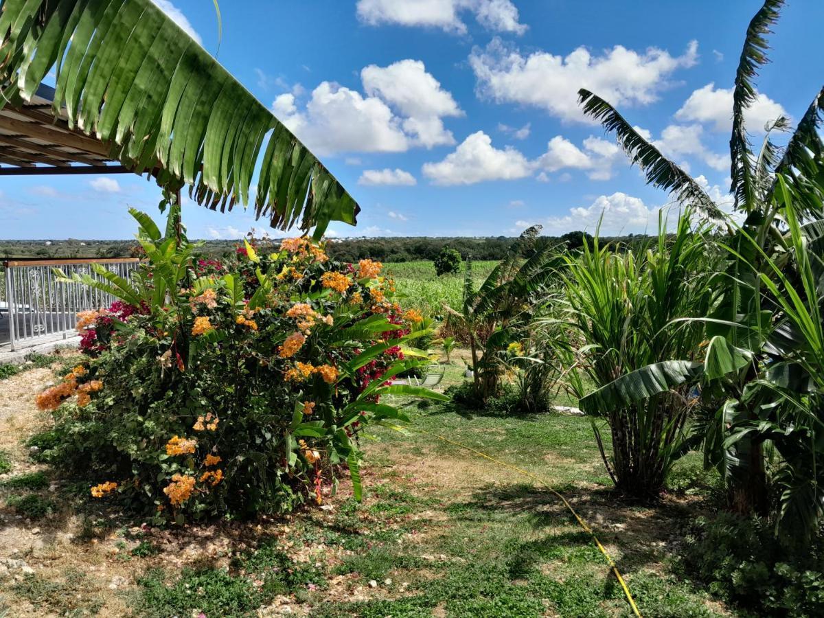 Kaz A Klemence Gite Creole Avec Piscine Et Table Dhotes A Anse Bertrand Buitenkant foto