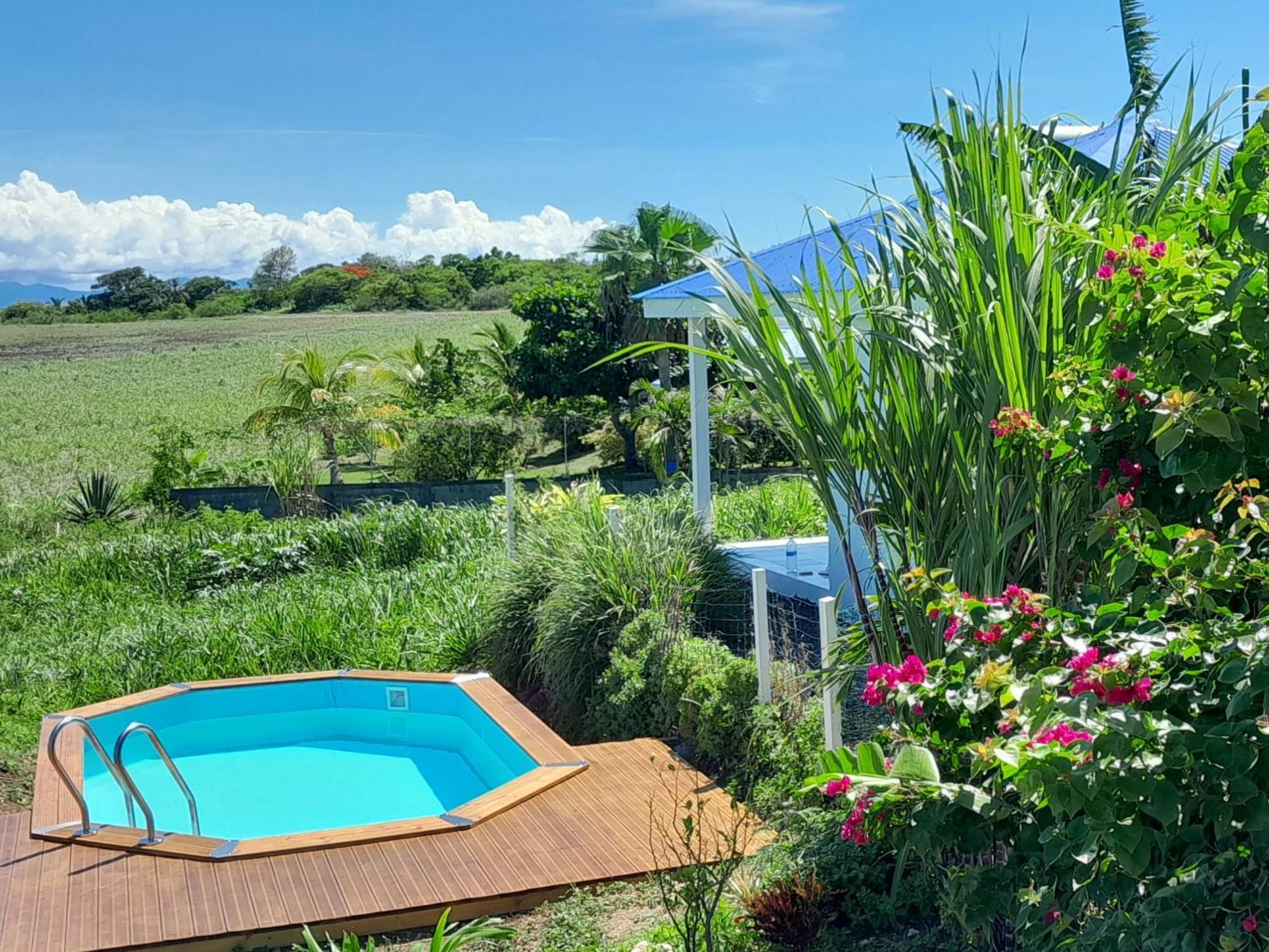 Kaz A Klemence Gite Creole Avec Piscine Et Table Dhotes A Anse Bertrand Buitenkant foto