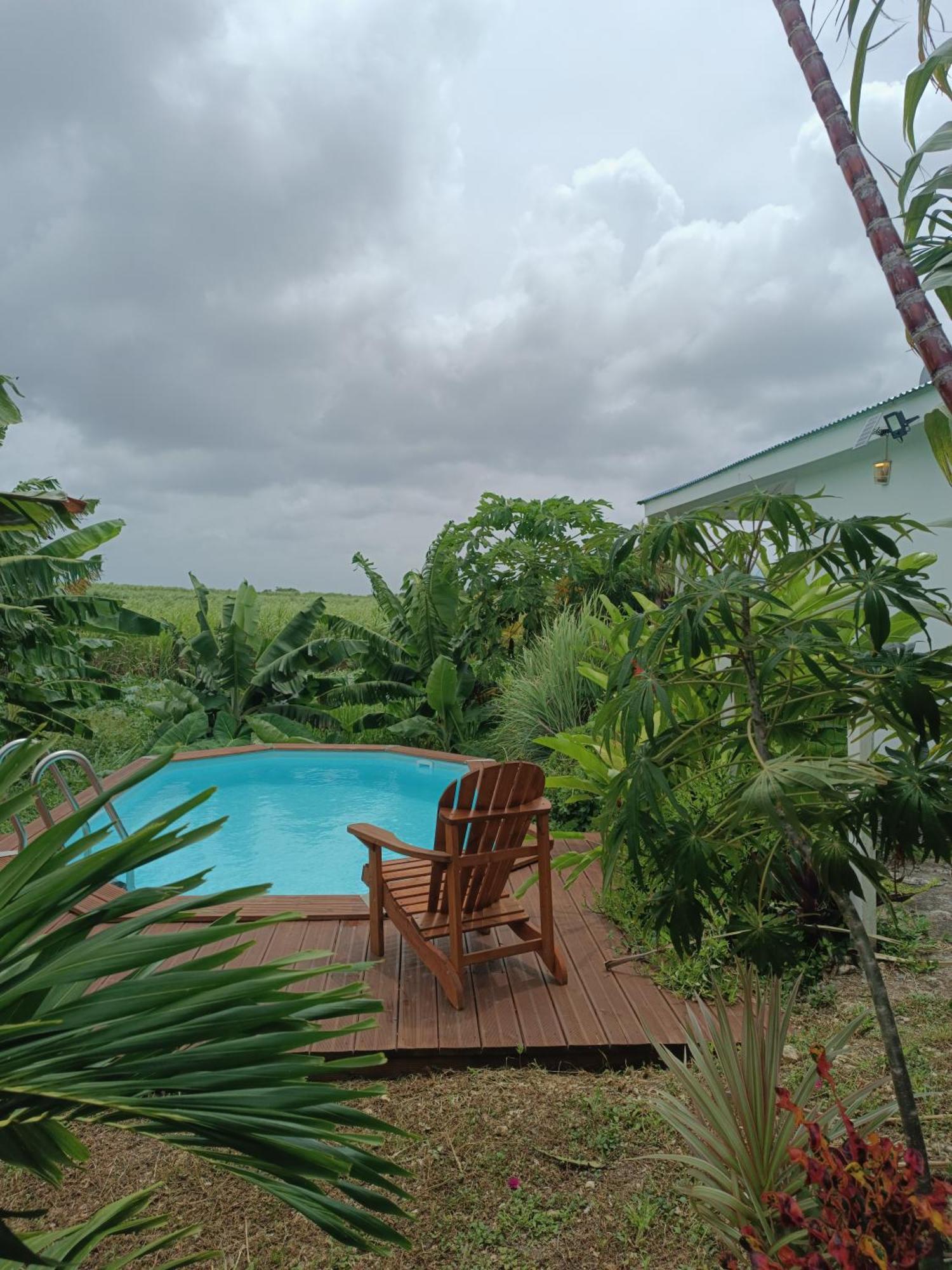 Kaz A Klemence Gite Creole Avec Piscine Et Table Dhotes A Anse Bertrand Buitenkant foto