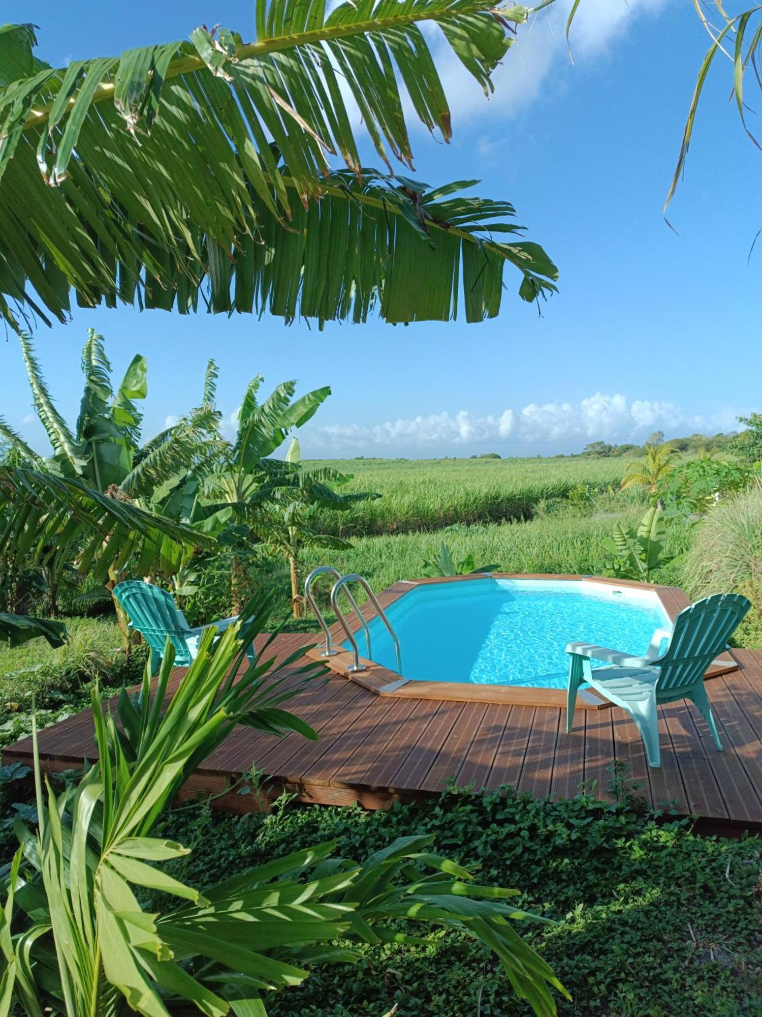 Kaz A Klemence Gite Creole Avec Piscine Et Table Dhotes A Anse Bertrand Buitenkant foto