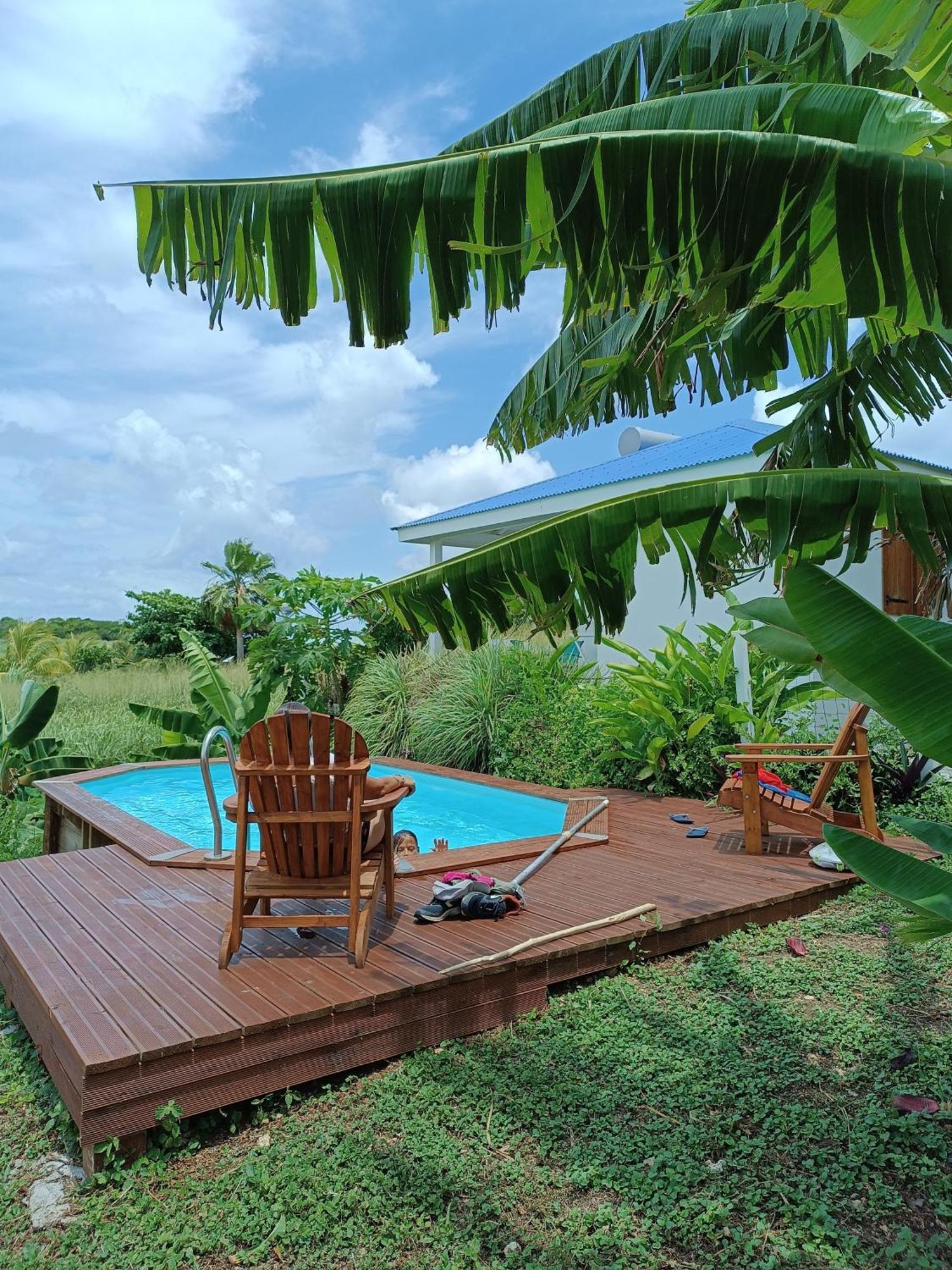 Kaz A Klemence Gite Creole Avec Piscine Et Table Dhotes A Anse Bertrand Buitenkant foto
