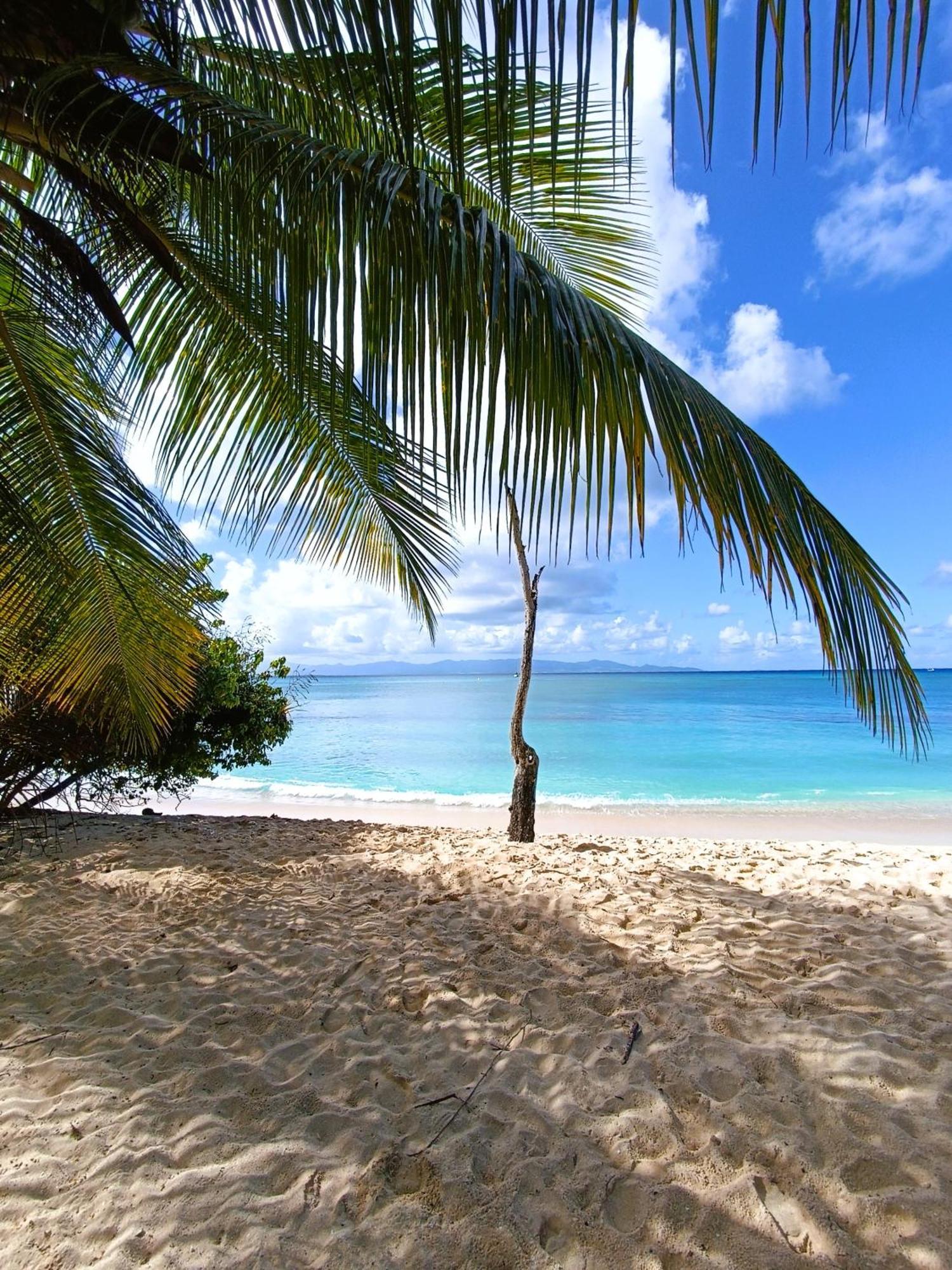 Kaz A Klemence Gite Creole Avec Piscine Et Table Dhotes A Anse Bertrand Buitenkant foto
