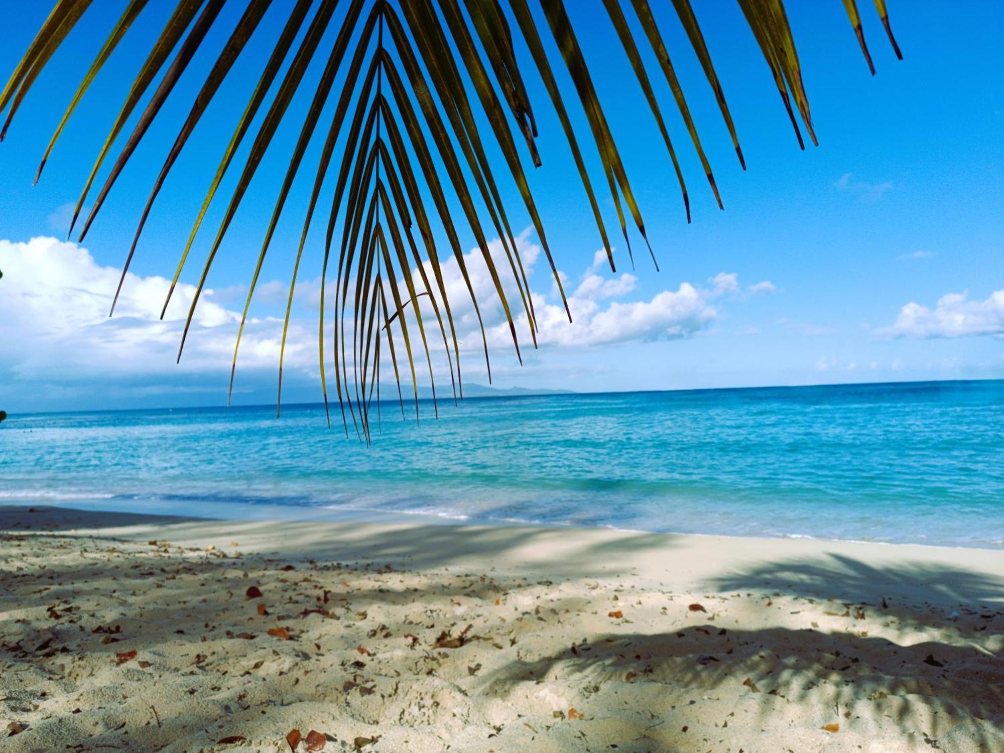 Kaz A Klemence Gite Creole Avec Piscine Et Table Dhotes A Anse Bertrand Buitenkant foto