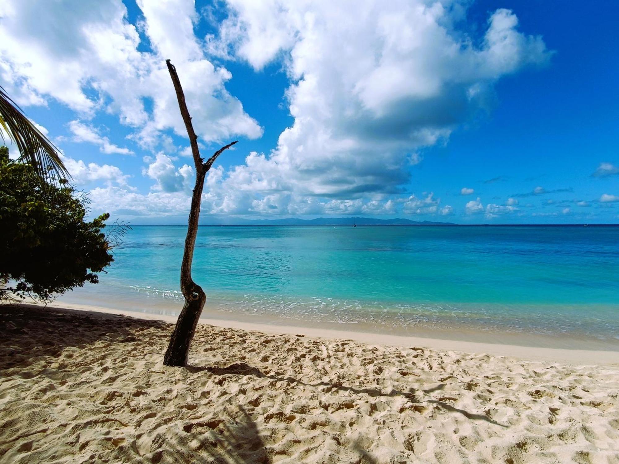 Kaz A Klemence Gite Creole Avec Piscine Et Table Dhotes A Anse Bertrand Buitenkant foto